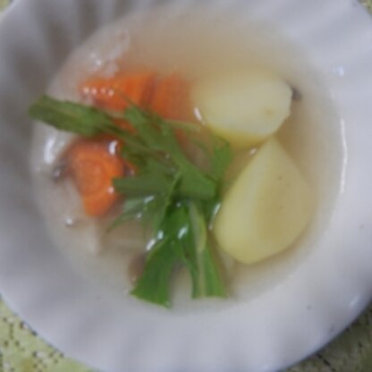 外出できないので、家庭菜園でジャガイモを作ってみました。美味しいスープが出来て嬉しいです＾＾